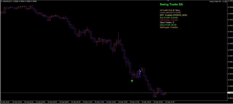 🌍Swing Trader EA 📉 🔥 MT4 🚀 2 Month License 🎯