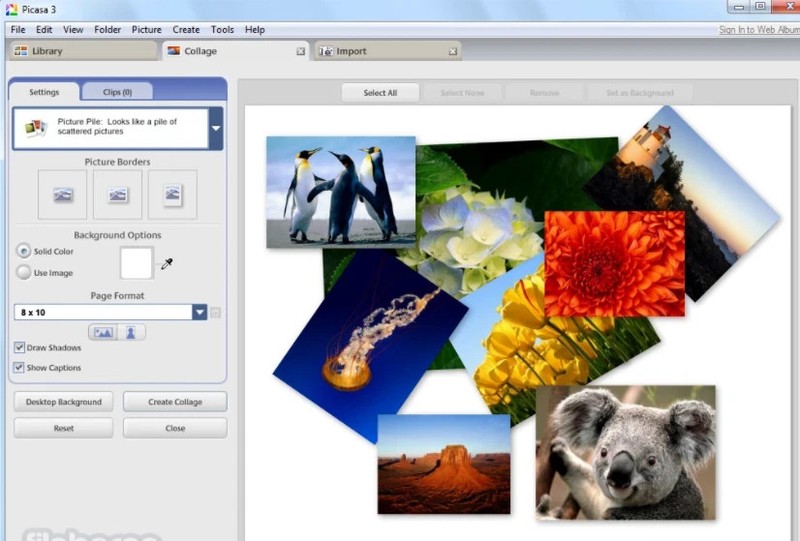 Picasa 3.9 Photo Editing & Management Picture Album Manager for Windows Mac OS gallery
