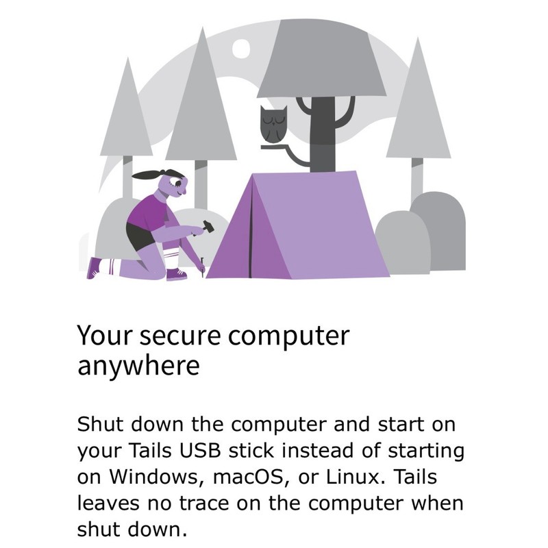 💻 Tails Linux USB – Secure & Anonymous Browsing | Plug & Play Privacy Tool 🔐 gallery