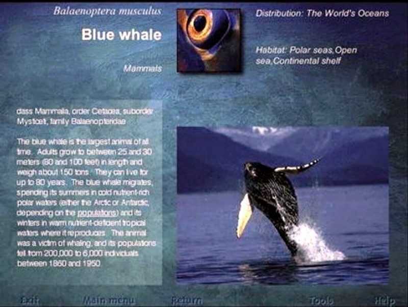DK Dorling Kindersley Encyclopedia of Our Living Oceans PC Software Sealed New gallery