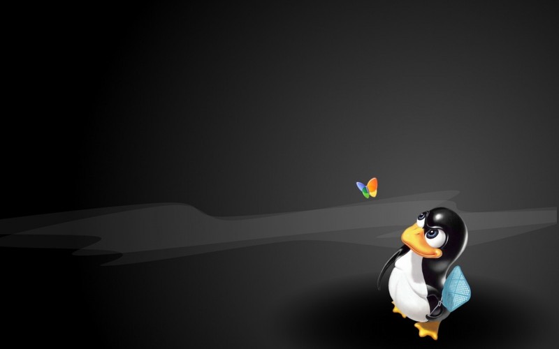 LINUX UBUNTU 32 BIT OPERATING SYSTEM-DUMP WINDOWS 7 WITH THIS OS, 17.04 DVD gallery
