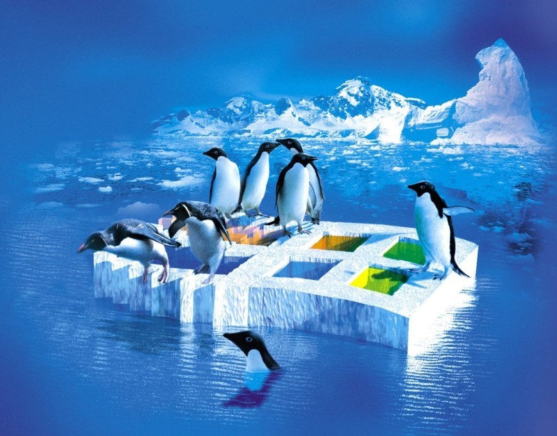 LINUX UBUNTU 32 BIT OPERATING SYSTEM-DUMP WINDOWS 7 WITH THIS OS, 17.04 DVD gallery