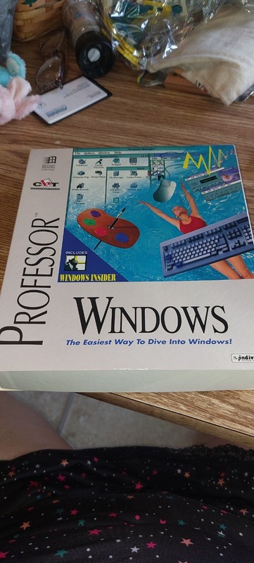 Individual Software Professor Windows for Windows 3.5″ Floppy Disk