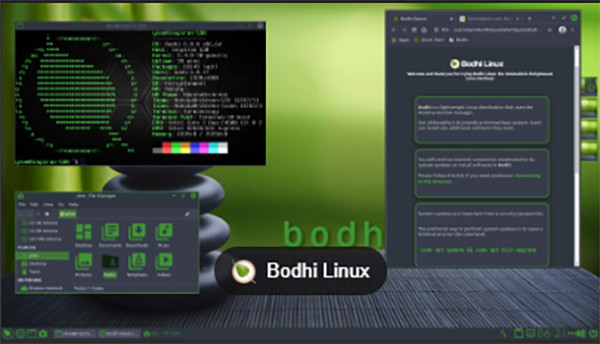 bodhi linux standard – amd64 2gb key – canada usa puerto rico