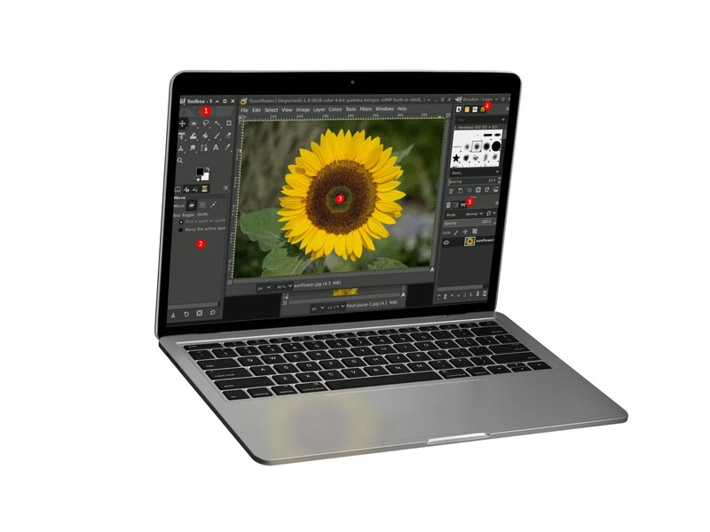 GIMP 3 (2026 Edition) Pro Graphic Design - Photo Editing Software for Windows gallery