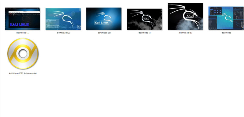 Kali OS Linux 2024.4 AMD64 8GB Key Canada USA Puerto Rico