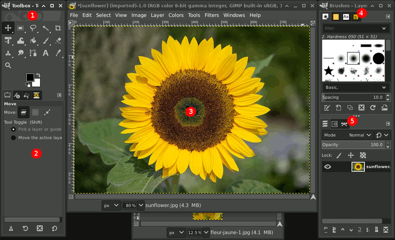 GIMP Photo Editing Software for MAC Graphic Design Image w/ Photo shop Guide CD gallery