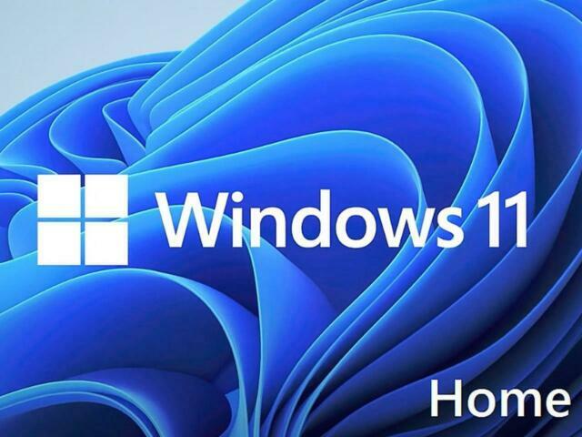 Windows 11 Home 64 Bit (Standard License)