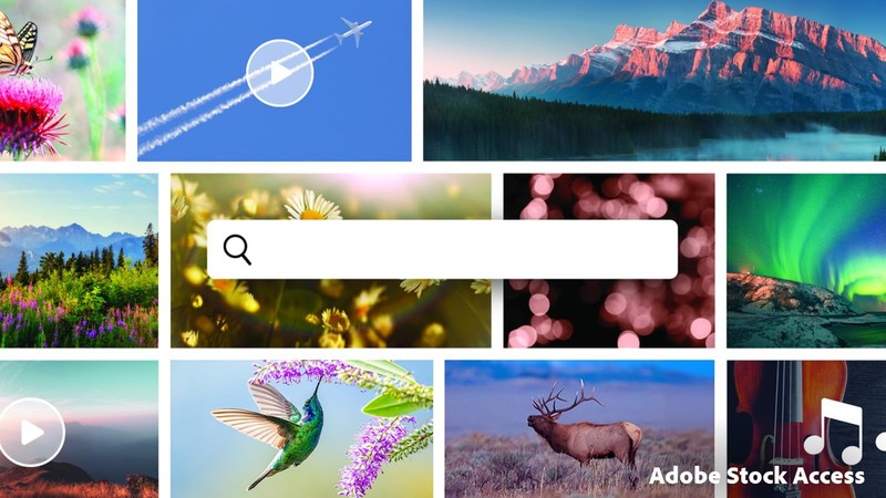 Adobe Premiere Elements 2026 | Software Download | Video Editing | 3-year term gallery