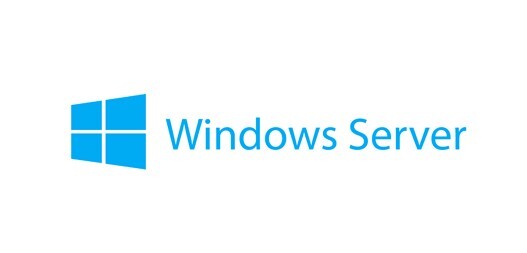 Lenovo Windows Server 2019 Standard License – 2 Core Add-on (7S05002LWW)