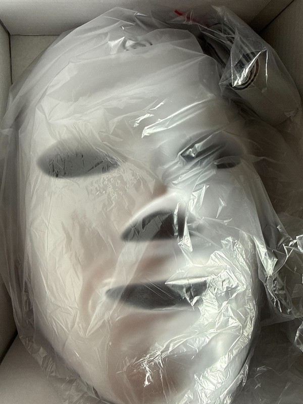 LED Red Light Therapy Face Mask Skin Rejuvenation Anti-Aging New