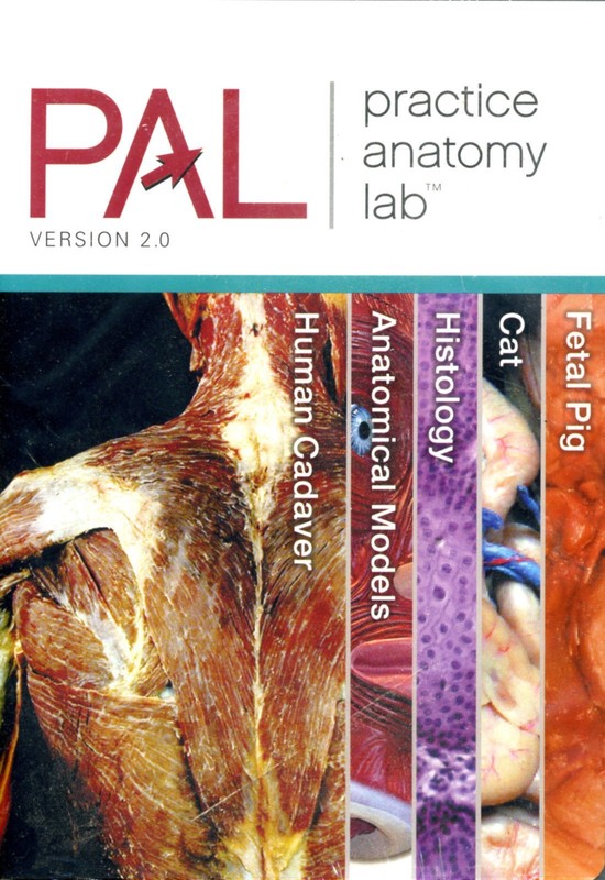 NEW!PAL Practice Anatomy Lab Version 2.0 [CD-ROM] Win/MAC 2008 Pearson Education