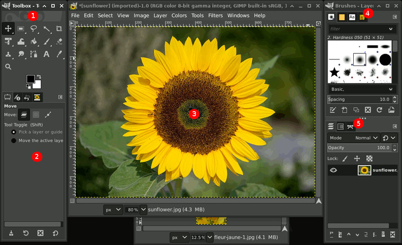 2024 Photo Editing Software - Graphic Design, Image Enhancement, and More on CD gallery
