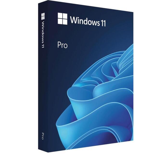 Microsoft Windows 11 Professional 64-bit OEI DVD – English