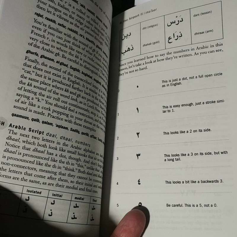 Flash Forward-ARABIC-Living Language CD Interactive Flashcard Software-w/book gallery