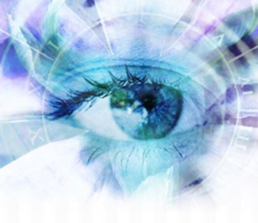 Blue Iris Pro v6.x ( Latest ) Video Camera Security Software - Full License Life gallery