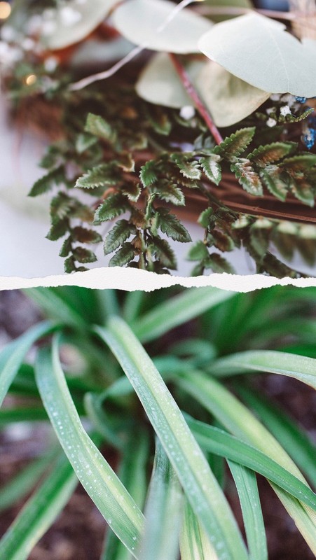 SEAK Lightroom Preset Pack gallery