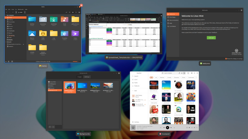Linux Mint 22.1 Ultimate Upgrade for Microsoft Windows 10 (VM Included) #10 gallery