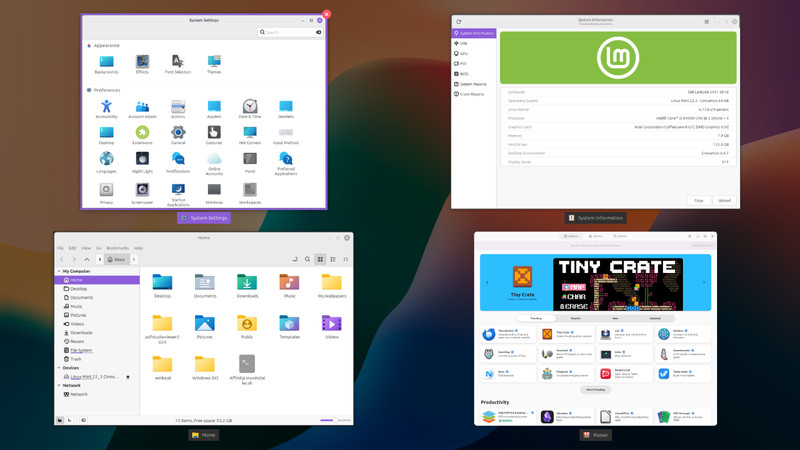 Linux Mint 22.3 Preloaded on 2.5" 500GB Hard Drive (Windows 11 theming) #5 gallery