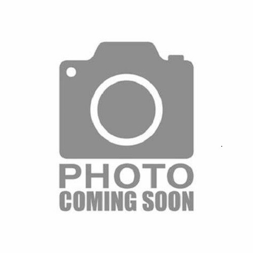 SNAP! Family Tree (Jewel Case), Software