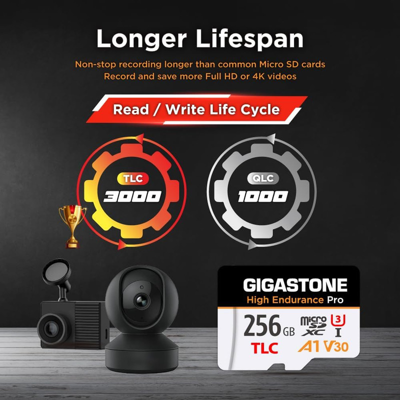 【5 Yrs Free Data Recovery】【Dash Cam】 256GB Micro SD Card, TLC High Endurance Pr gallery