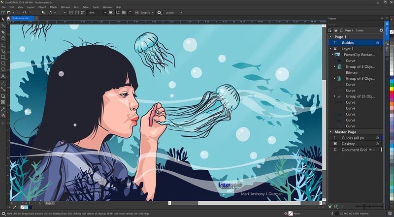 CorelDRAW Graphics Suite 2019 Full Version Windows PKC Permanent License Original Packaging NEW gallery