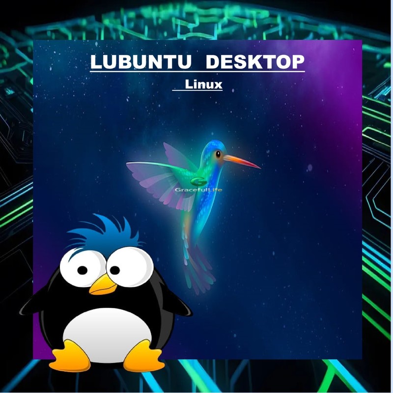 LUBUNTU DESKTOP Linux OS 64-Bit Live Install Bootable Software ~ 2025 edition