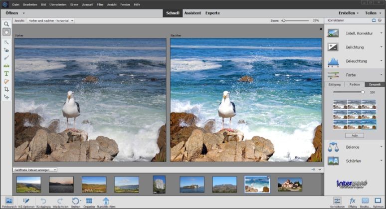 Adobe Photoshop Elements 2022 Upgrade Box + DVD 2 Win/Mac Manual Original Box NEW gallery