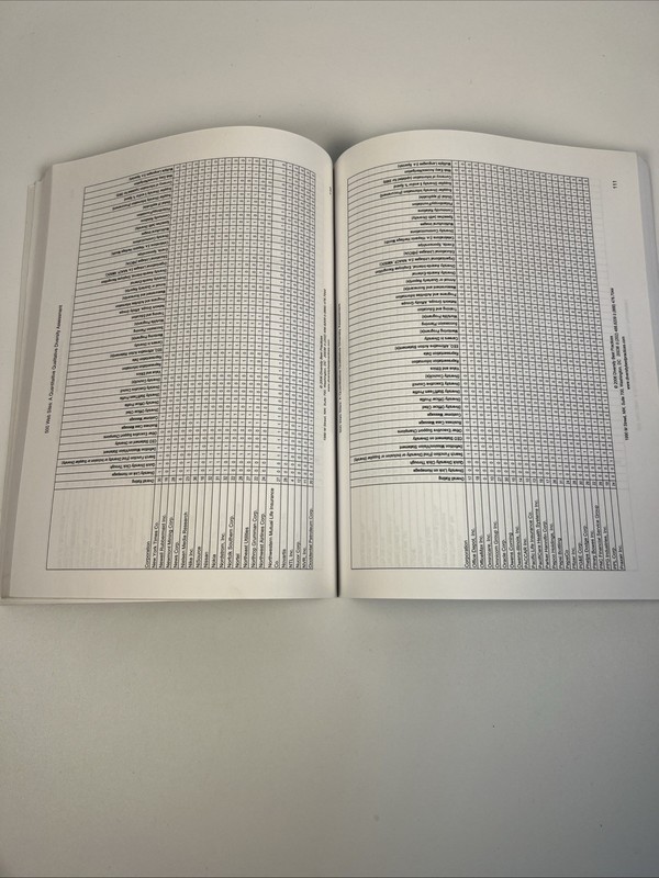 500 Web Sites: A Quantitative & Qualitive Diversity Assessment Textbook-2006 gallery