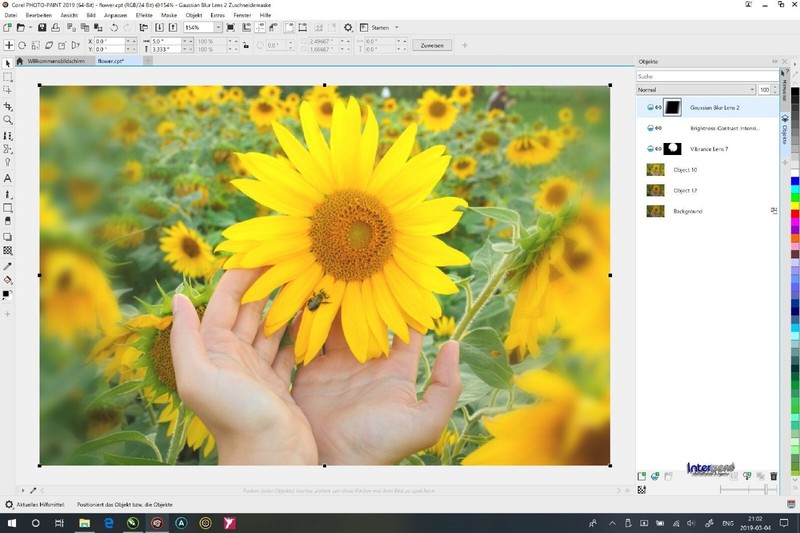 CorelDRAW Graphics Suite 2019 Full Version Windows PKC Permanent License Original Packaging NEW gallery