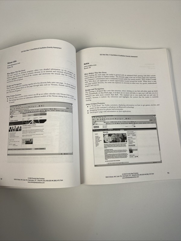 500 Web Sites: A Quantitative & Qualitive Diversity Assessment Textbook-2006 gallery