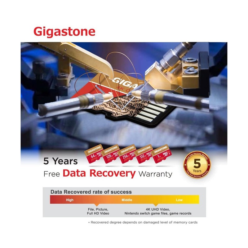 [5-Yrs Free Data Recovery] GIGASTONE 256GB 2-Pack Micro SD Card, 4K Game Pro,... gallery