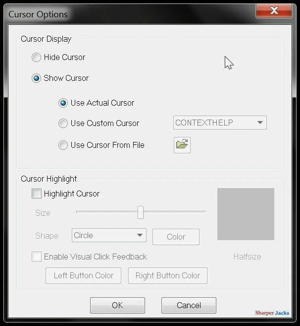 Cam Studio 2026 Computer Screen & Audio Recording Software for Windows gallery