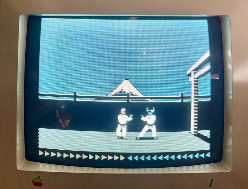 Apple II Games on Floppy Disks: Public Domain Retro / Vintage Software 🍎➕🍏 gallery