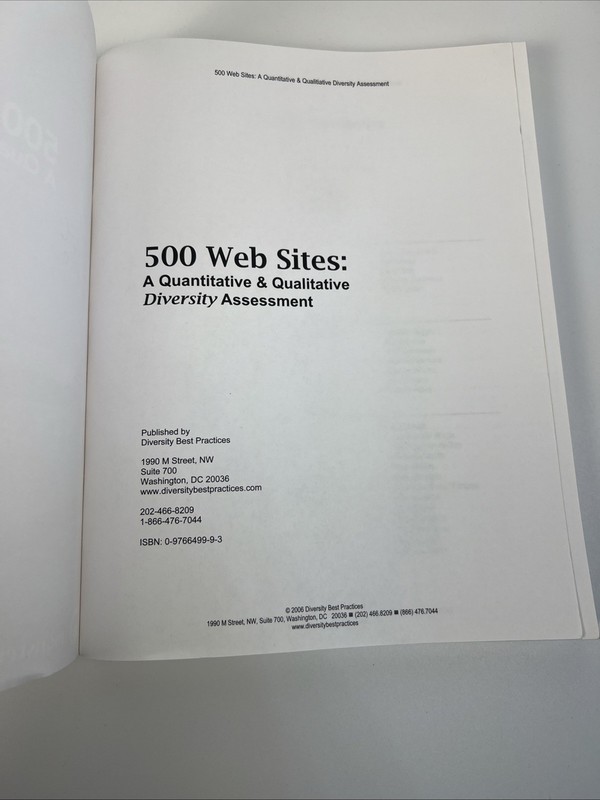 500 Web Sites: A Quantitative & Qualitive Diversity Assessment Textbook-2006 gallery