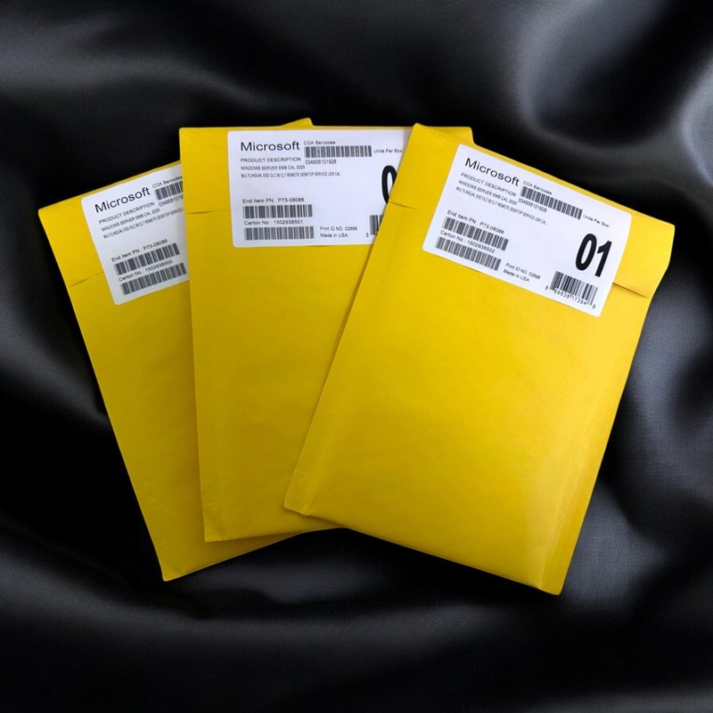 WINDOWS SERVER 2025 50 USERS RDS CAL SEALED FAST US SHIPPING