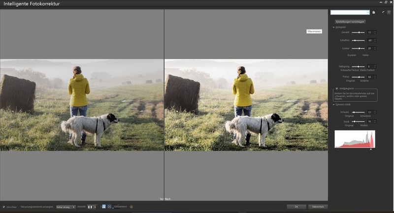 Corel PaintShop Pro 2023 Full Version Win Permanent License German / ML Download NEW gallery