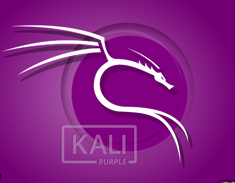 Kali Purple 2025.2 DVD Installer – Cybersecurity’s Ultimate Toolkit gallery
