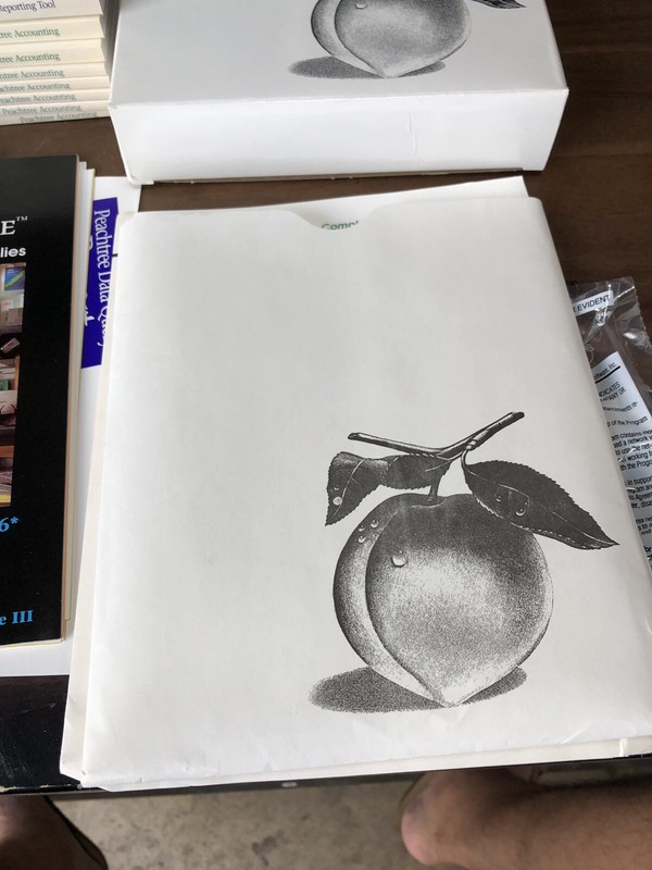 VINTAGE PEACHTREE SMALL BUSINESS ACCOUNTING SYSTEM Software 6.0 gallery