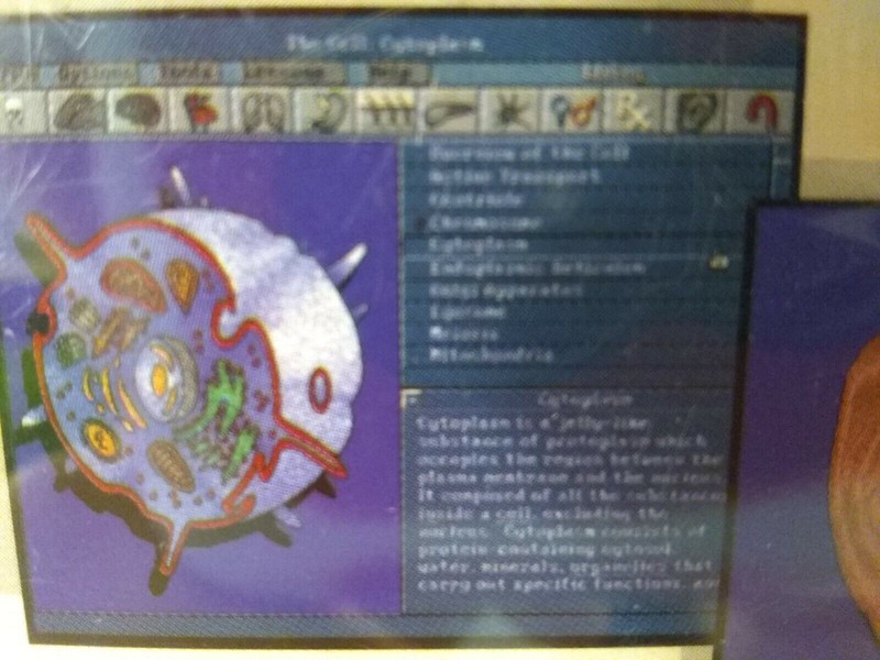 Body Works Classic Edition Human Anatomy CD-Rom Windows Softkey 1994 Software gallery