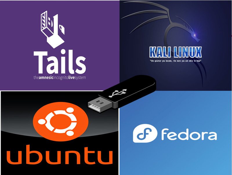Tails 6.11 Kali Linux 2024.3 Ubuntu 24.04.1 LTS Fedora Multiboot USB Boot