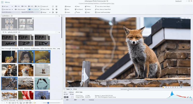 Photo Editing Software Compatible with Windows 11, 10 – View, Edit gallery