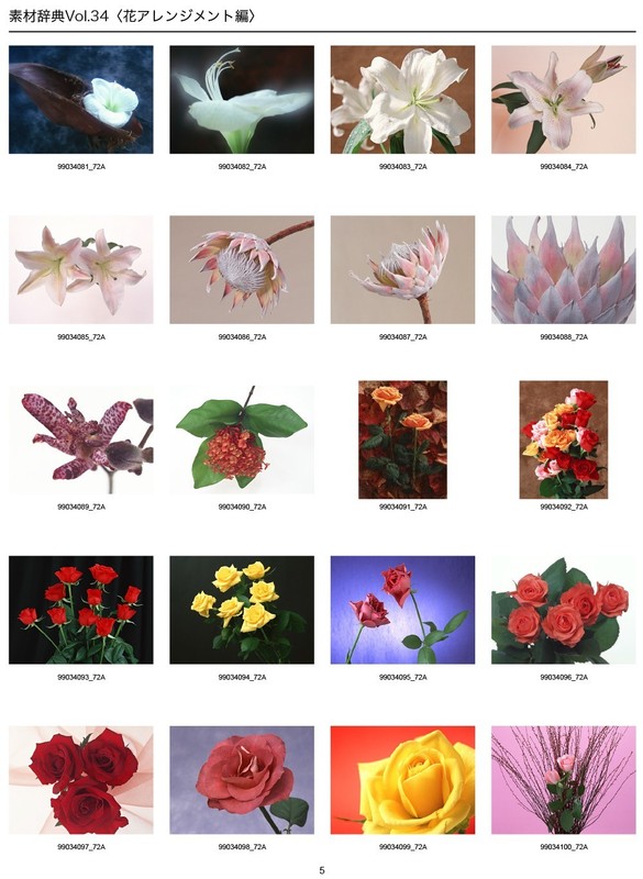 Flower Arrangements Sozaijiten Vol.34 Japan CD-ROM Mac Windows HR-SJ34 R5 gallery