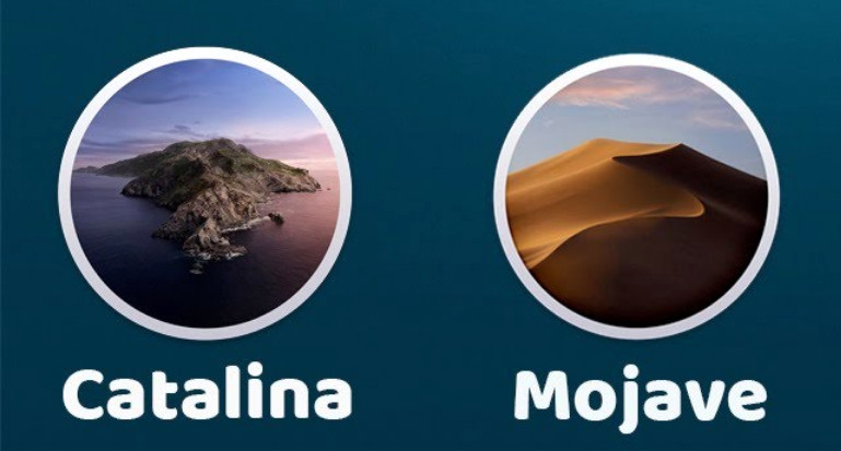 Mac Pro 3,1/4,1/5,1 Bootable 2-in-1 USB Installer Mojave Catalina gallery