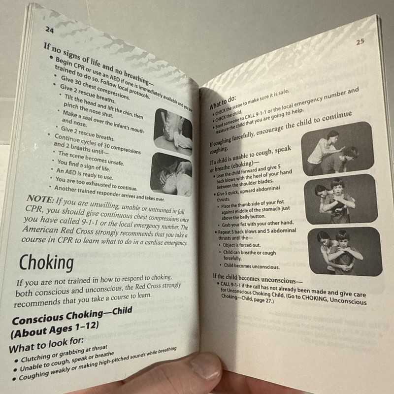 American Red Cross Babysitter's Training CD-ROM Windows/Mac W/ Reference Guide gallery