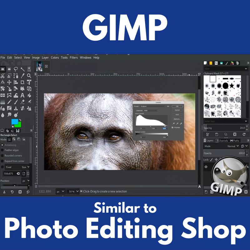 Desktop Publishing Pro 2023 | Publishing Print Design Software Program DVD gallery