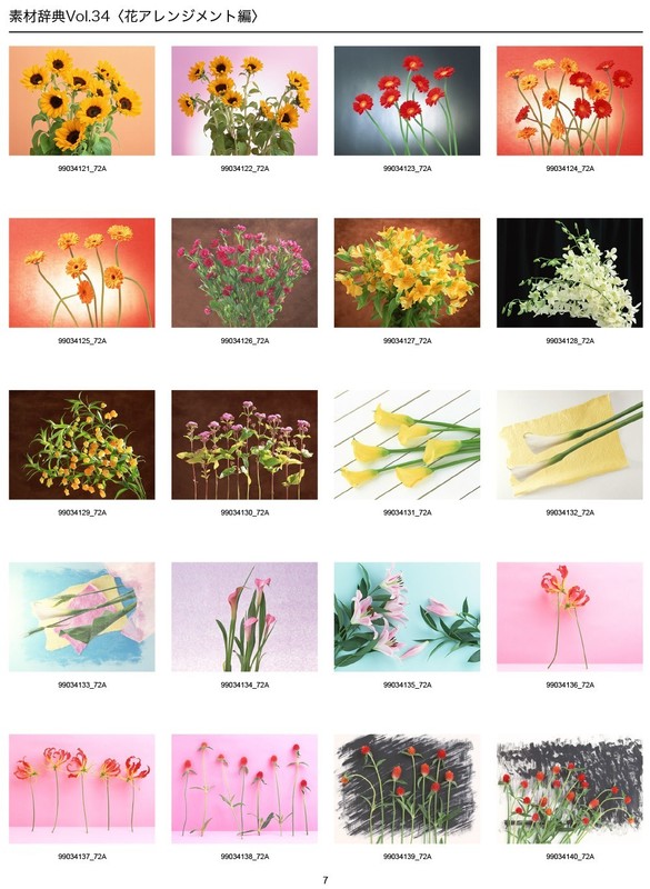 Flower Arrangements Sozaijiten Vol.34 Japan CD-ROM Mac Windows HR-SJ34 R5 gallery