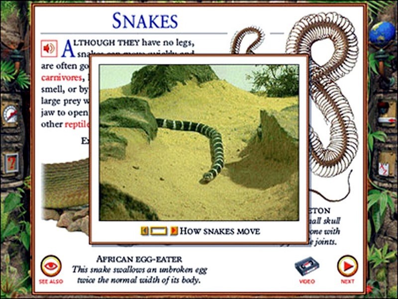 DK Dorling Kindersley Eyewitness Encyclopedia of Nature PC Software Sealed New gallery