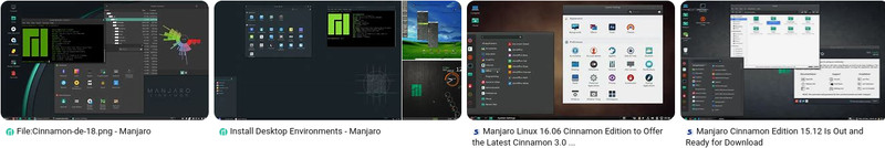 manjaro cinnamon linux latest version USA Puerto Rico GTA 4GB key AMD64