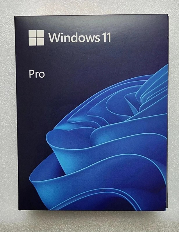 Microsoft Windows 11 Professional 64-bit OEI DVD - English